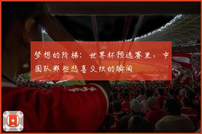 梦想的阶梯：世界杯预选赛里，中国队那些悲喜交织的瞬间