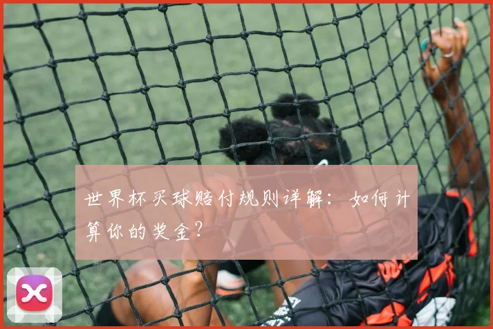 世界杯买球赔付规则详解:如何计算你的奖金?