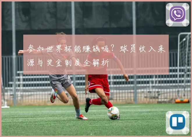 参加世界杯能赚钱吗？球员收入来源与奖金制度全解析