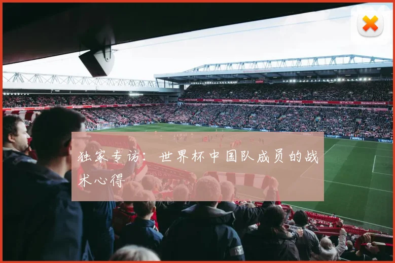 独家专访：世界杯中国队成员的战术心得