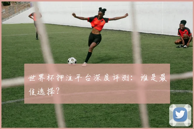 世界杯押注平台深度评测:谁是最佳选择?