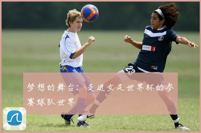 梦想的舞台：走进女足世界杯的参赛球队世界