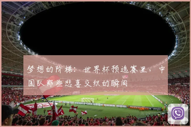 梦想的阶梯：世界杯预选赛里，中国队那些悲喜交织的瞬间