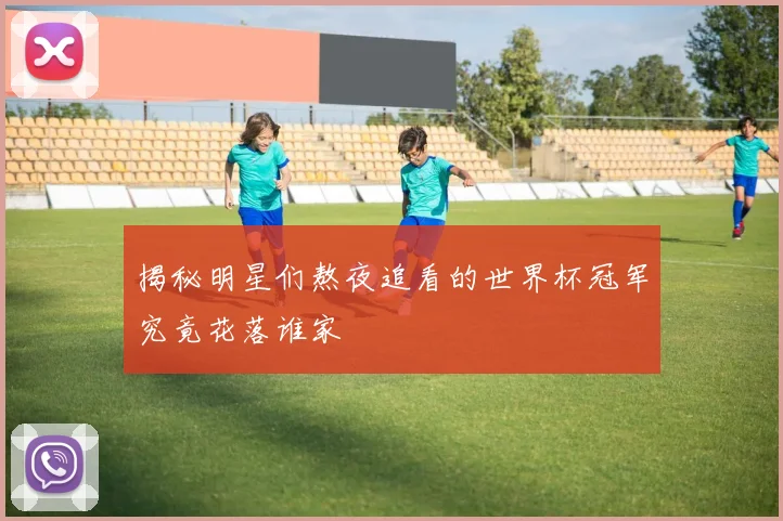 揭秘明星们熬夜追看的世界杯冠军究竟花落谁家