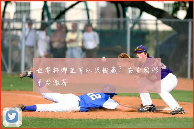 世界杯哪里可以买输赢?安全购彩平台推荐