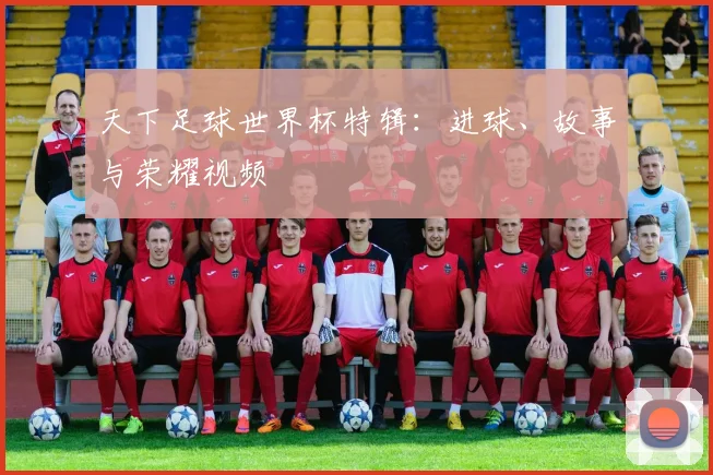 天下足球世界杯特辑：进球、故事与荣耀视频