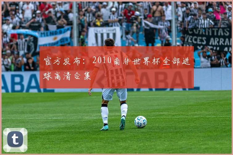 官方发布：2010南非世界杯全部进球高清合集